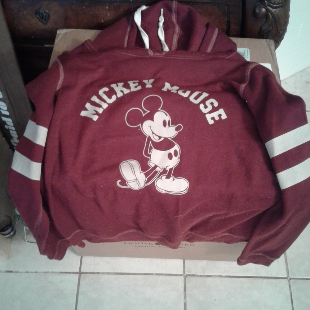 Disney 2 hoodies